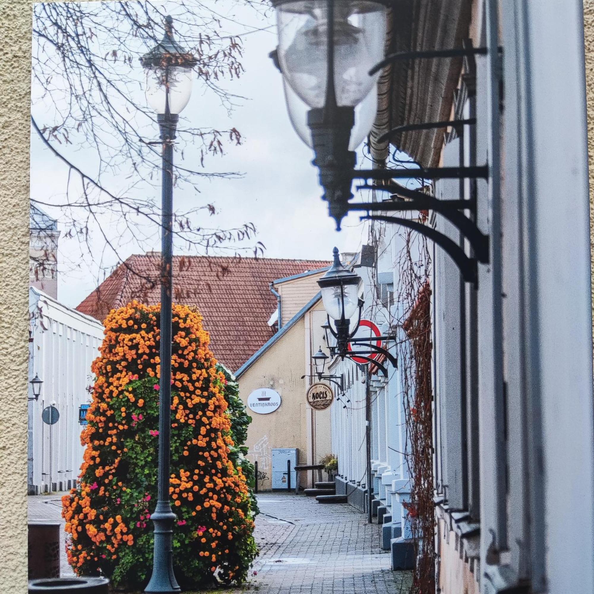 Ventspils Apartamenti Pie Ratslaukuma Екстериор снимка